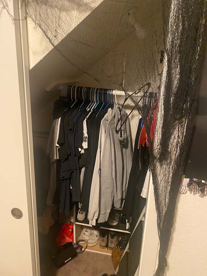 Maddi's room