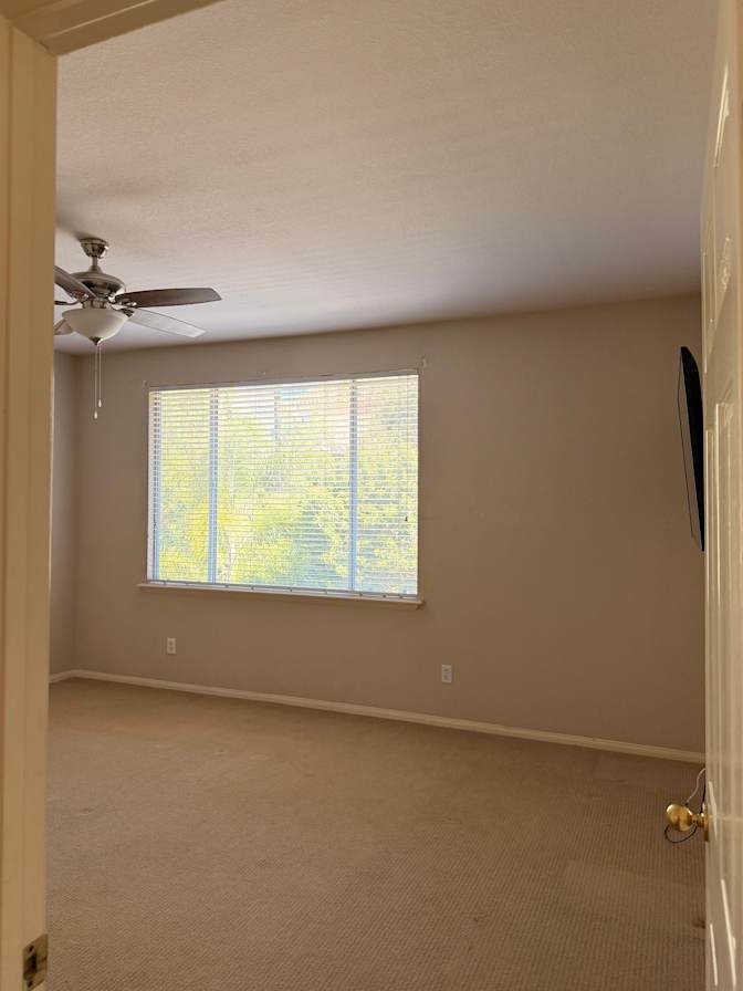 Amy's room