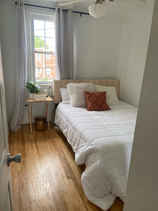 Haelly's room