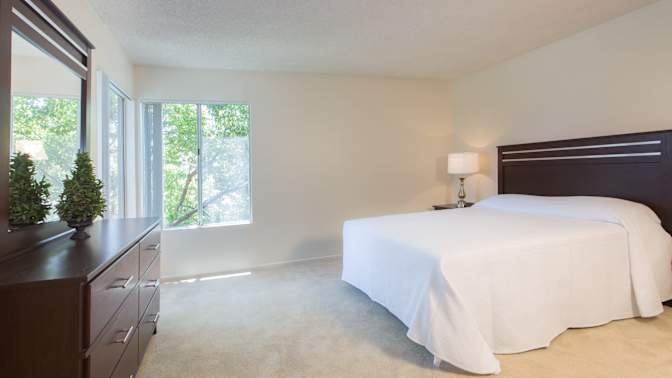 Skiy's room