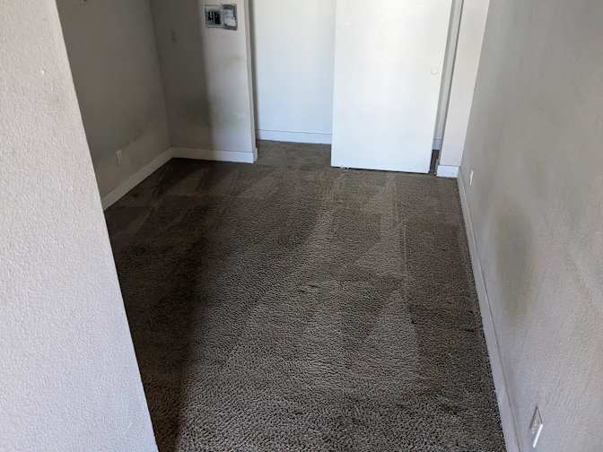 Sasha's room