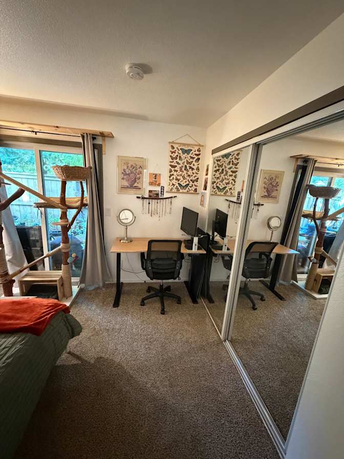 London's room