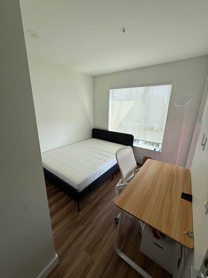 Taha's room