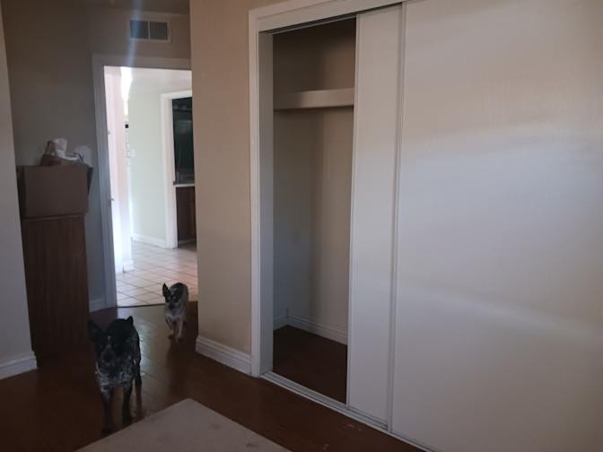 Laurie's room