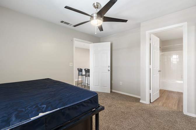 The Oasis's room