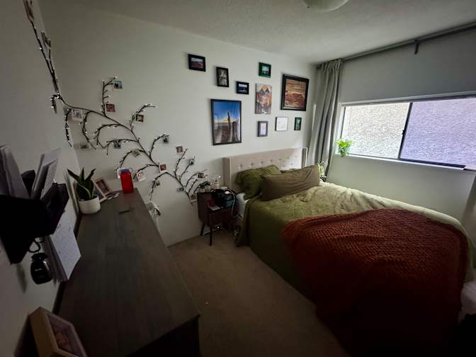 Brooke's room