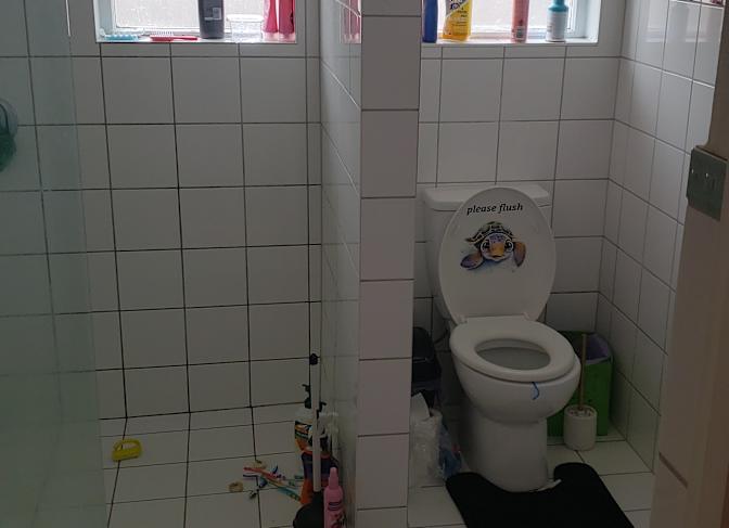 Bob's room