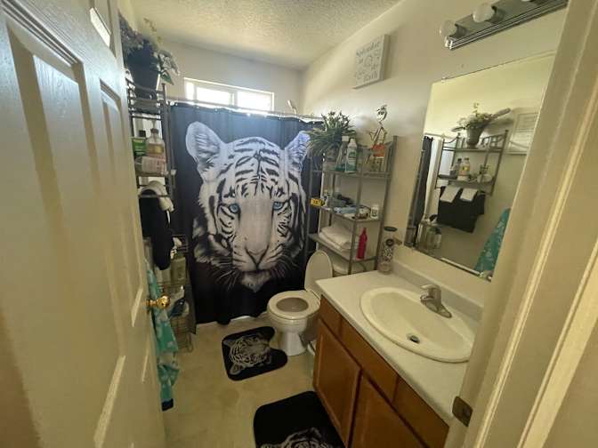 Destry's room