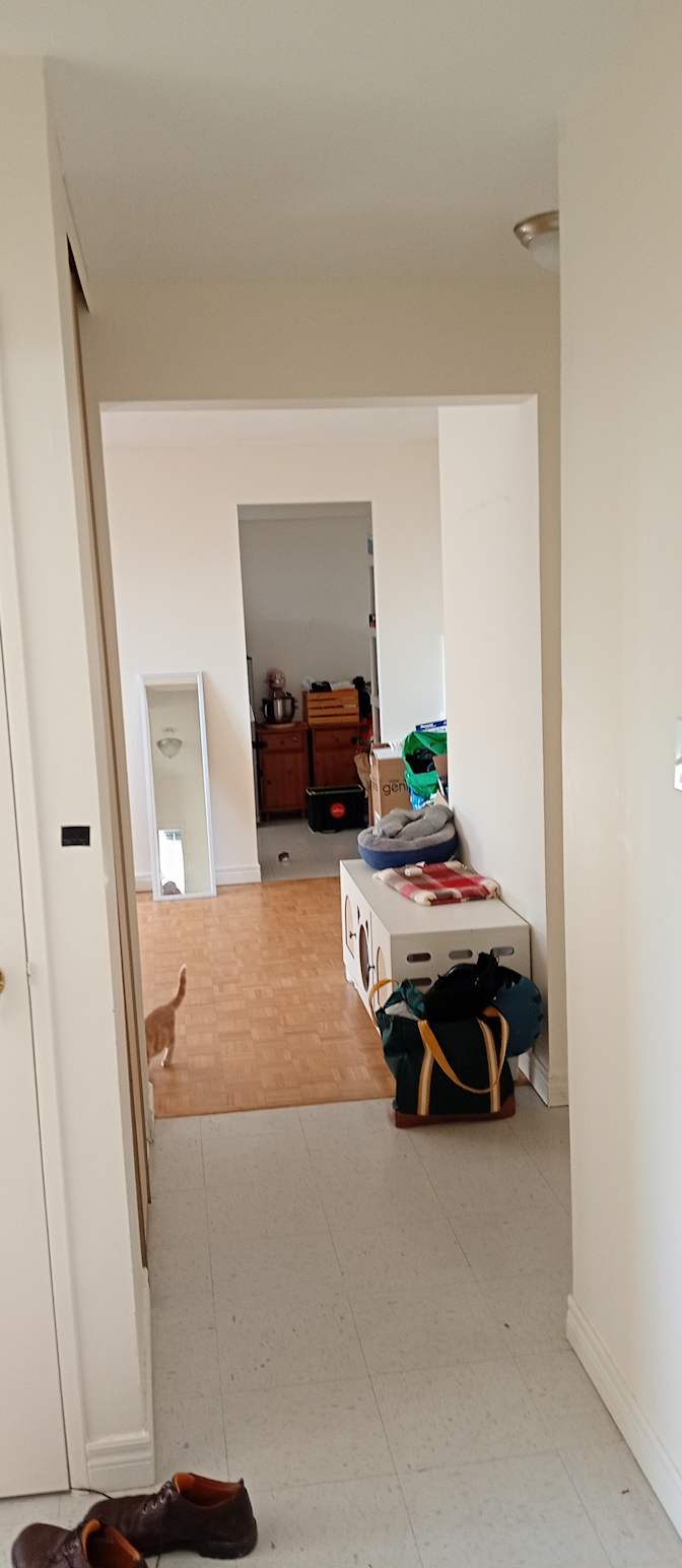 Cameron's room