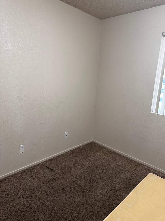 Beatriz's room