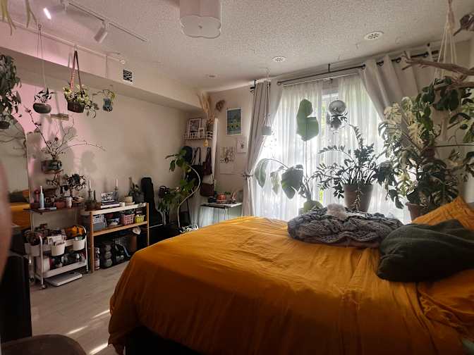 Brandon Avenue - Photo 3