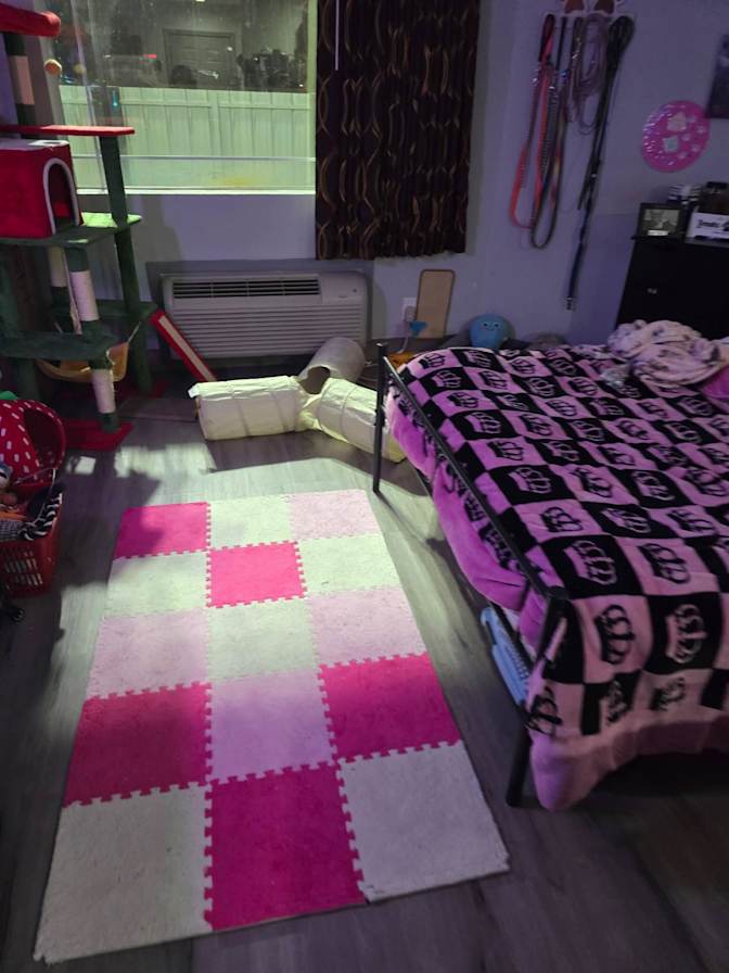 Kayla Latham's room
