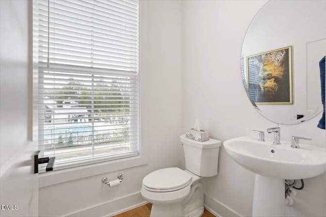 Alcove Rooms's room