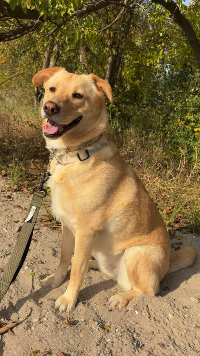 Jolein's room