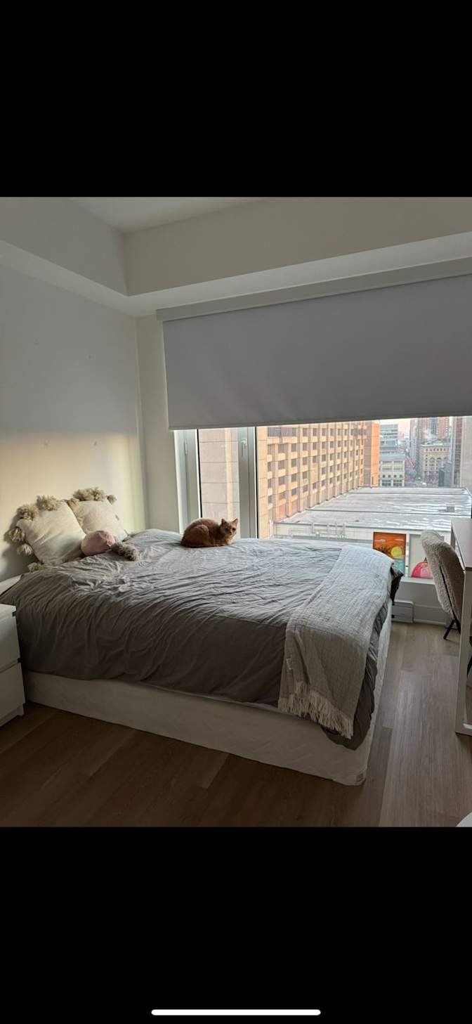 Ambre Ferlaud's room