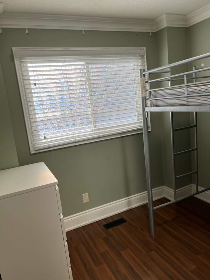 Zoran's room
