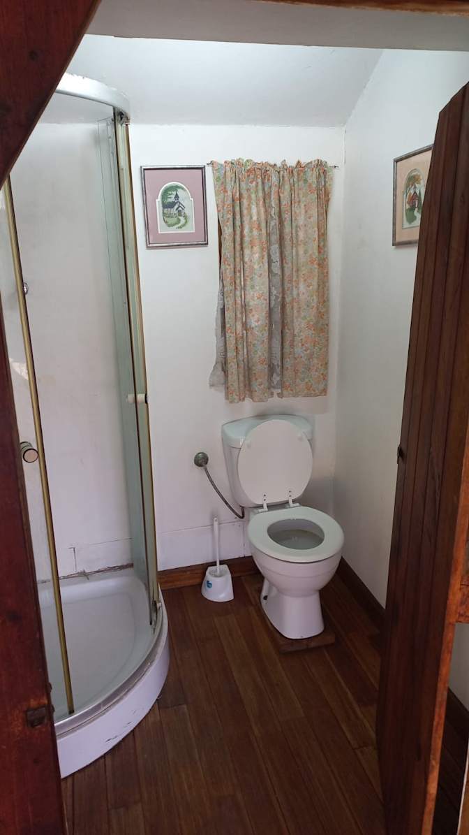 Willows on Bartlett's room