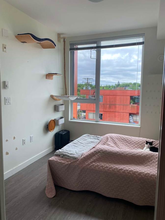 Joanna's room