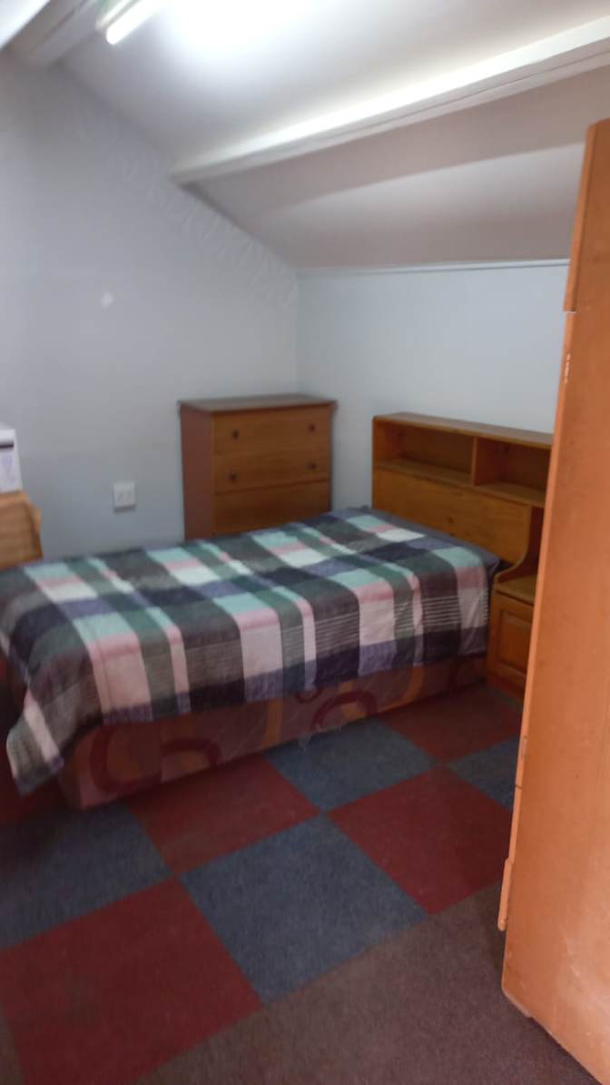 Willows on Bartlett's room