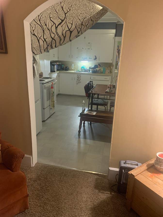 Cat's room