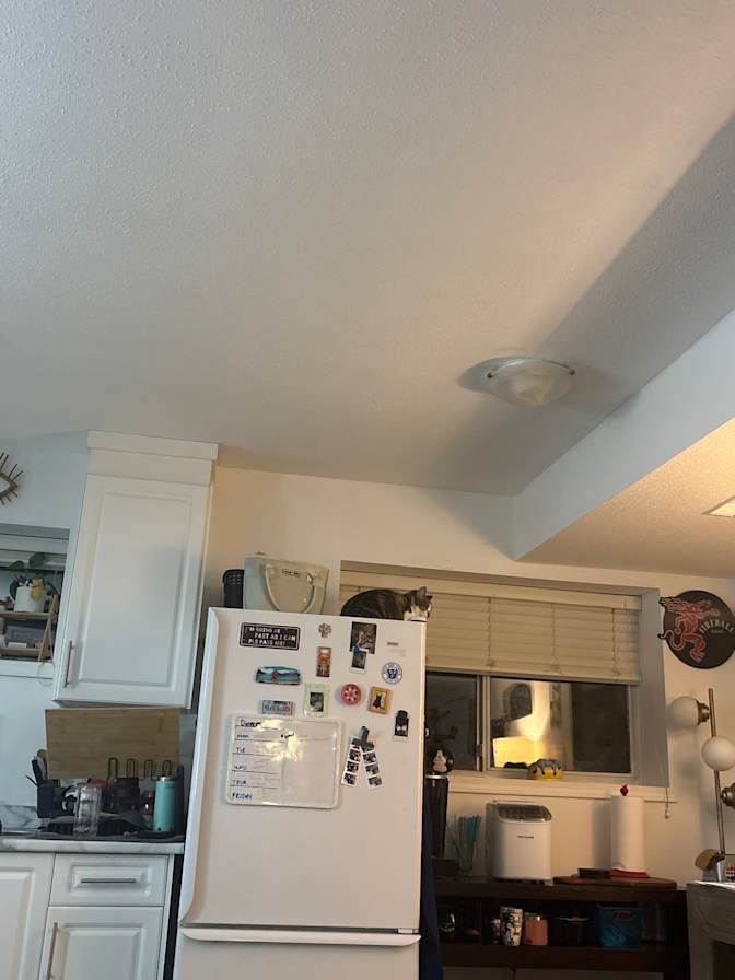 Maddy Ordough's room