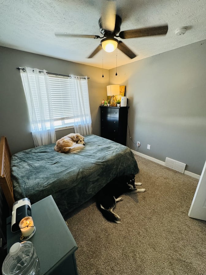 Alyssa's room