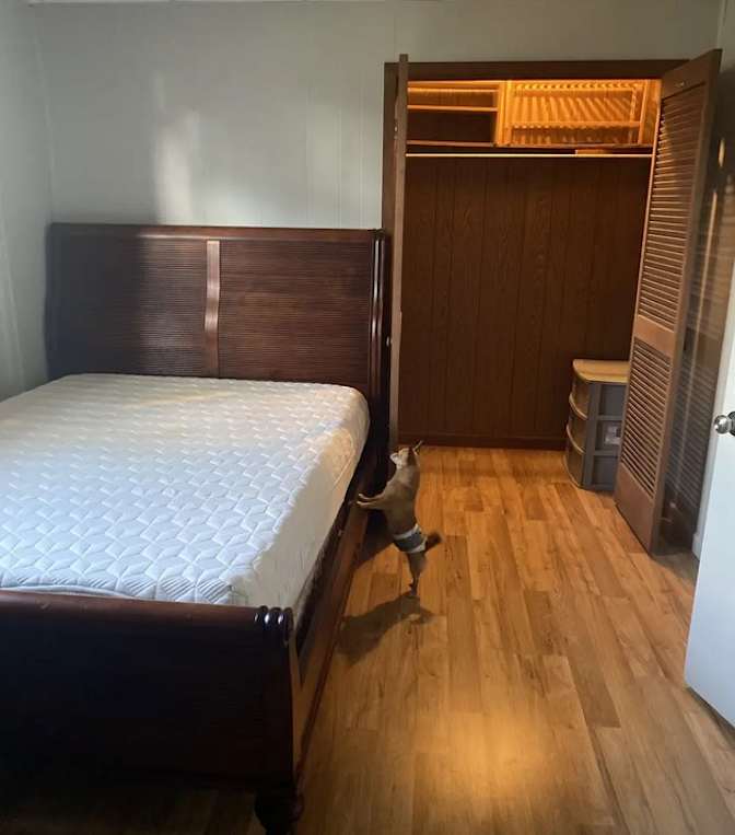 Virginia's room