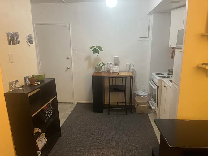 PARASTOO ASADI's room