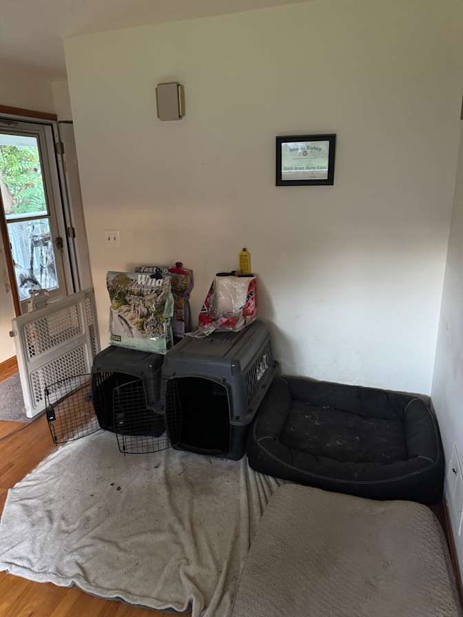 Alexander's room