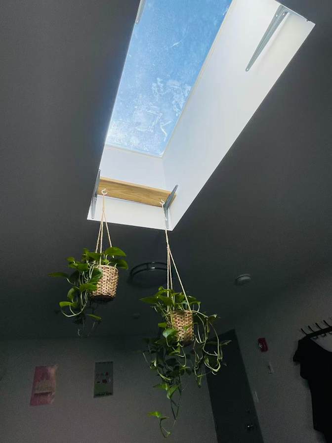 Jayne's room