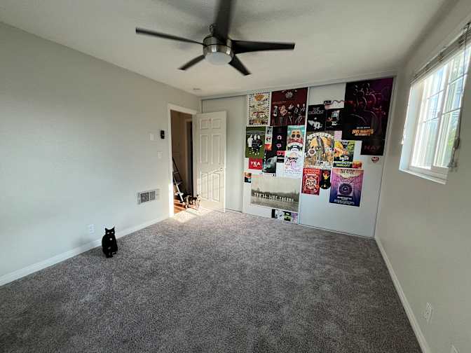 Naoise's room