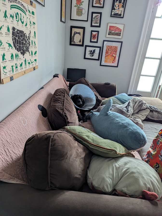 Mackenzie Lavender's room
