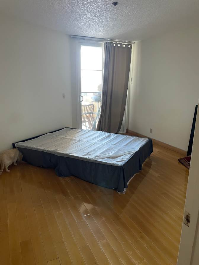 Lanet's room