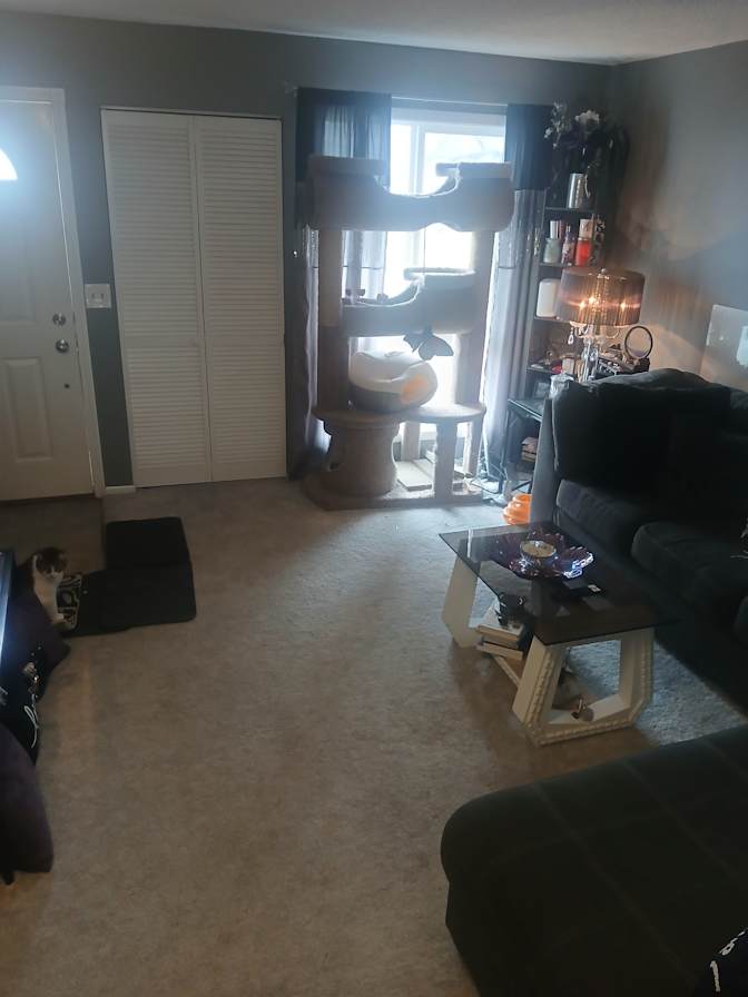 Michelle's room