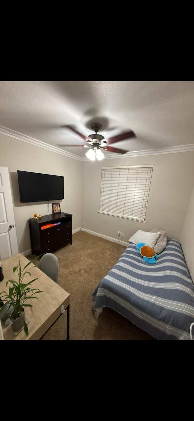 Lucky's room