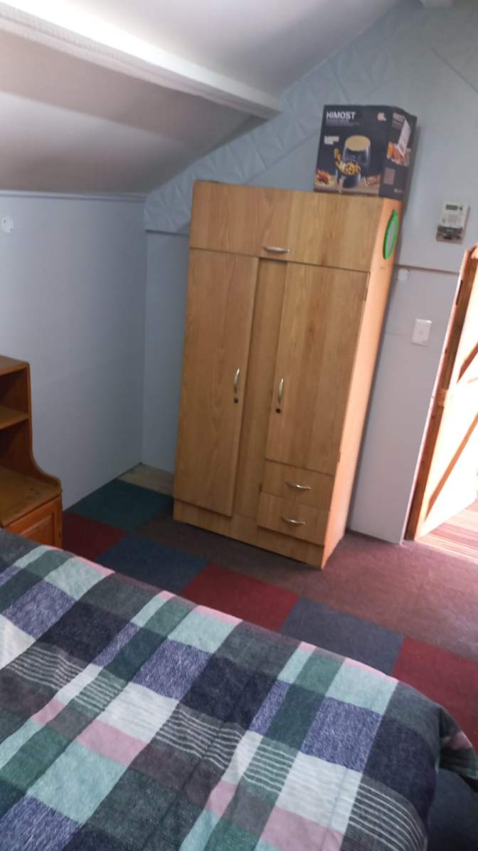 Willows on Bartlett's room