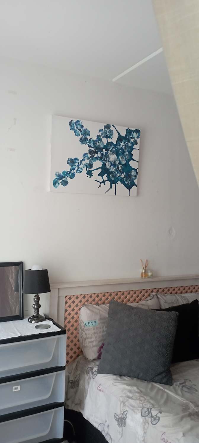 Shiz's room