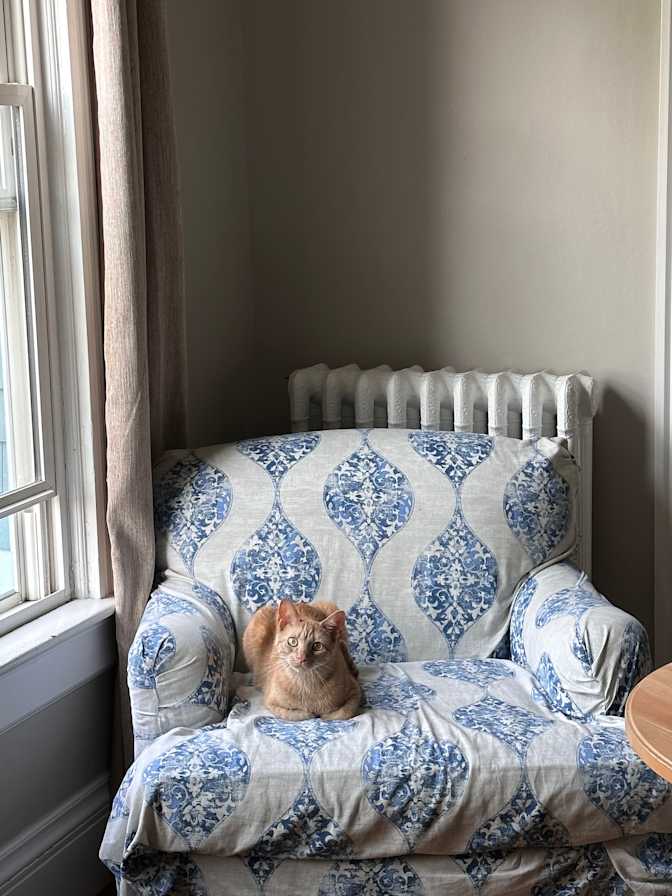 Delaney's room