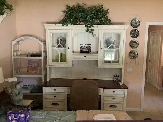 Mary's room