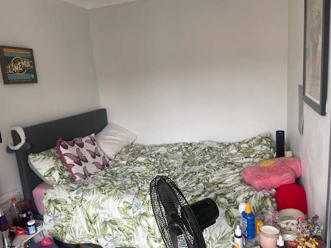 Enya's room