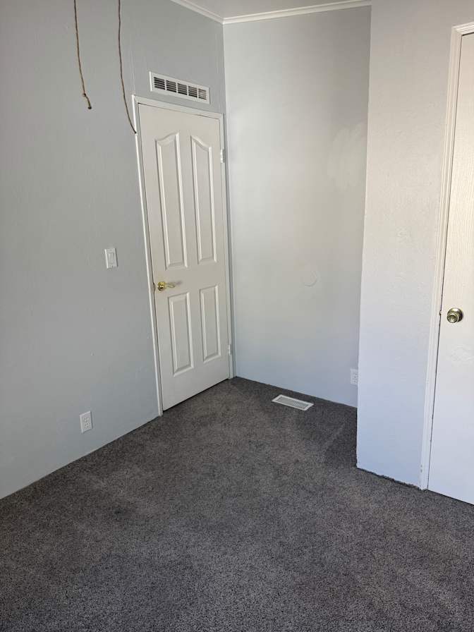 Hayden's room