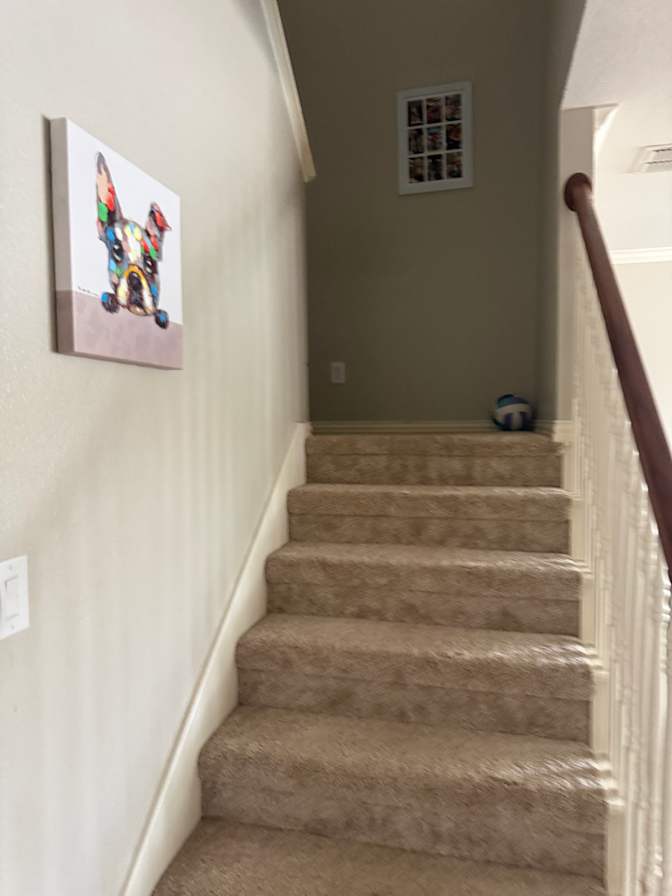 Steve's room