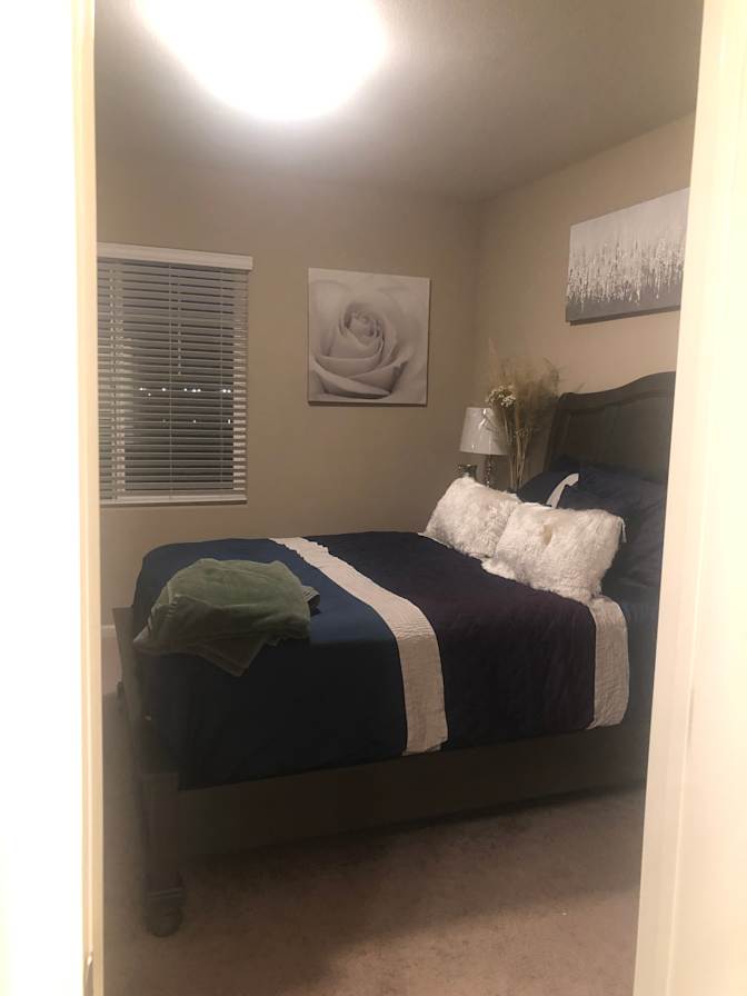 Immacula Julius's room