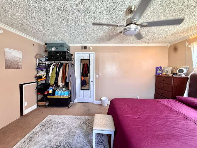 Vanessa's room
