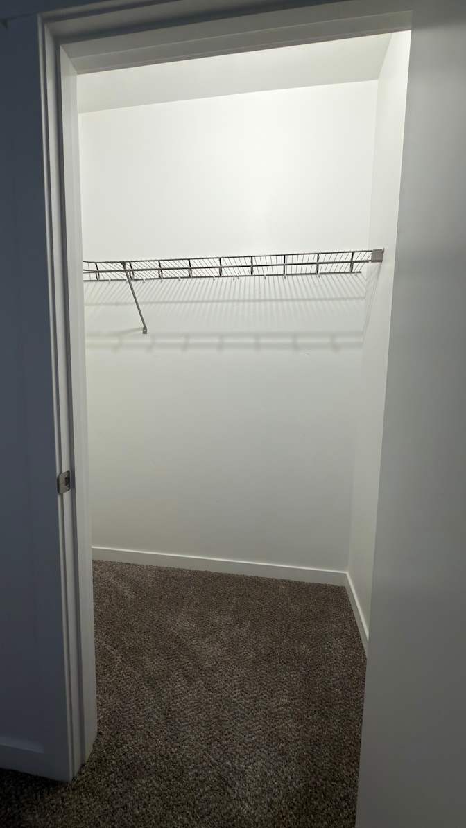 David's room