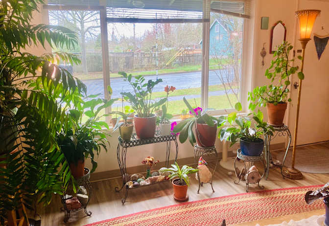 Osher's room