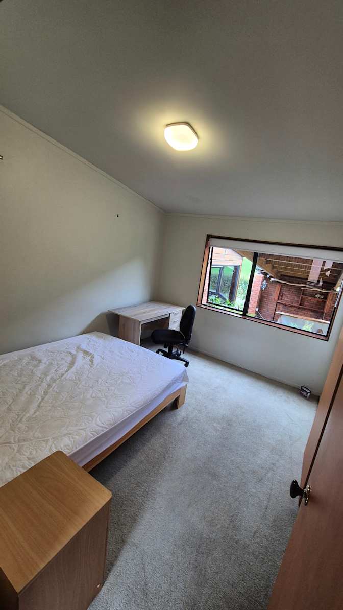 Nicolas vega's room