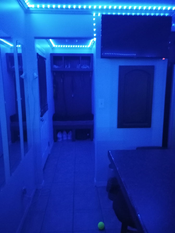 Cristi's room