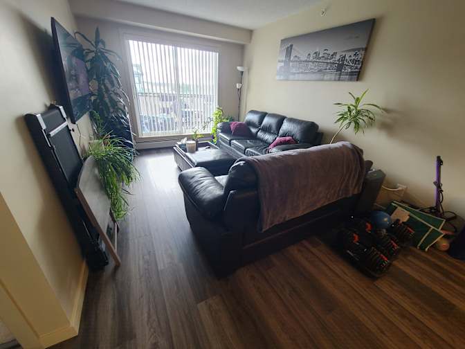 Amber's room