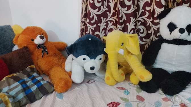 DR Prathap Kumar Reddy's room